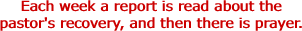 Each week a report is